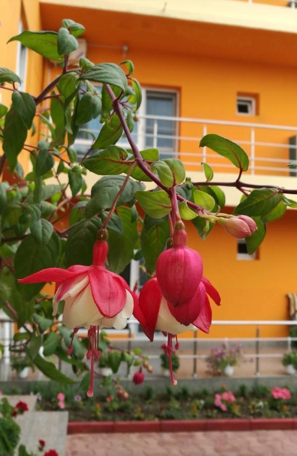 Hotel Vila Oranj Costinesti Exterior foto